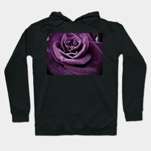 Purple Rose I Hoodie